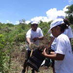 Journée de plantation avec les salariés EDF Réunion et leurs familles