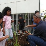 Les postiers ont aidé les élèves à planter les arbres endémiques