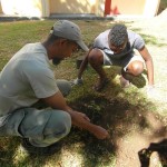 Rodolphe, médiateur au Parc national, explique aux èlèves comment planter les jeunes arbres sans abimer les racines